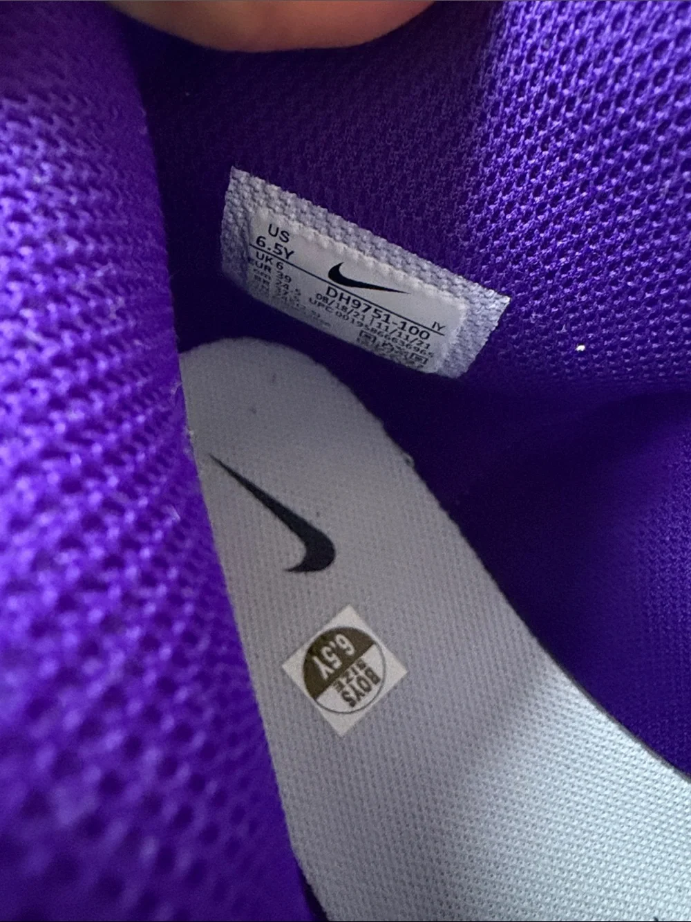 Nike Dunk High GS Purple and White High-Top Sneakers